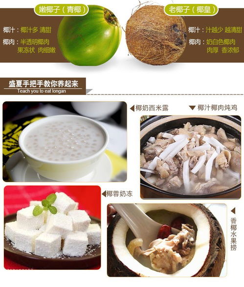 海南老椰子批發(fā) 品質(zhì)之選，新鮮直達(dá)